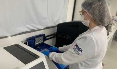 Com aumento de 67% no número de casos na capital, exame único pode identificar dengue, zika e chikungunya