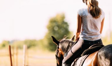 Equitação: conheça modalidades esportivas equestres e seus benefícios