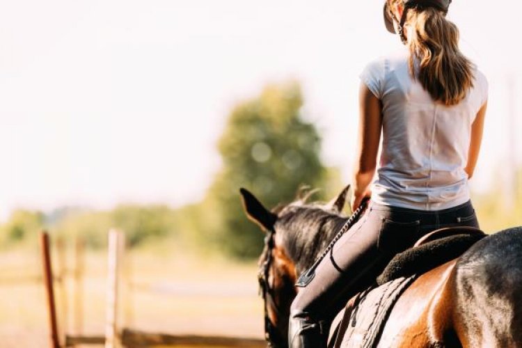 Equitação: conheça modalidades esportivas equestres e seus benefícios