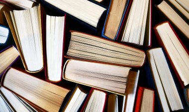 Unidade socioedcuativa feminina arrecada livros literários em Natal