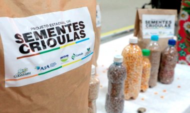Programa Estadual de Sementes Crioulas distribuirá mais de 38 toneladas de sementes em 2024