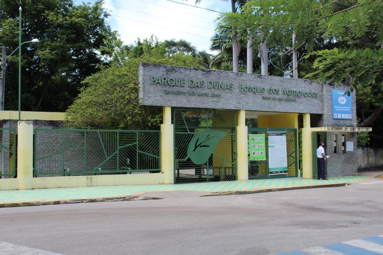 Semana da Mata Atlântica terá atividades ecológicas no Parque das Dunas