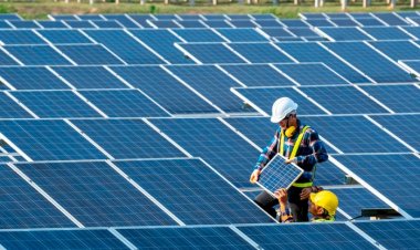 Região Nordeste representa quase 20