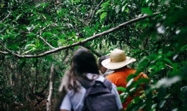 Parque Mata da Pipa está entre os 100 destinos verdes do mundo