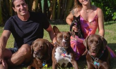 Movimentar para viver mais: animais também precisam se exercitar