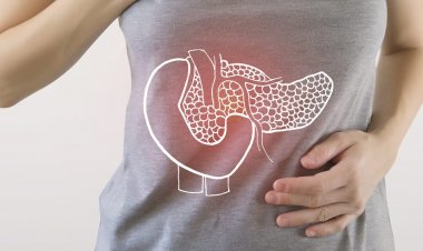 Metodologia inédita no país permite diagnosticar o câncer de pâncreas em até 72 horas