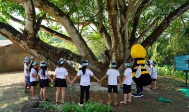 Falta verde e sobram riscos climáticos e calor nas escolas de Natal, aponta pesquisa inédita
