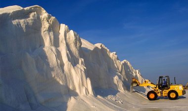 Salineiros de Mossoró e região enaltecem a inclusão do setor no PROEDI