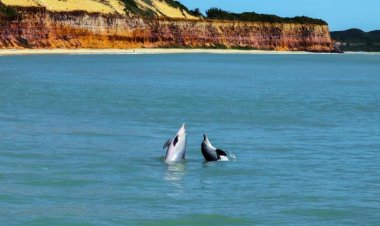 Rio Grande do Norte destaca as belezas de seu litoral na maior feira de turismo do mundo