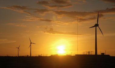 Instalação de usinas para geração de energia eólica e solar gera 13.571 empregos no Rio Grande do Norte