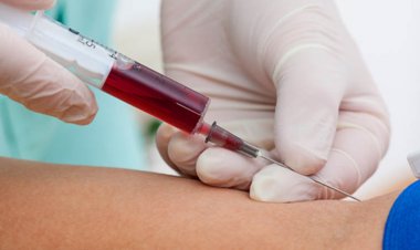 Conheça os exames de sangue necessários para começar 2025 com saúde