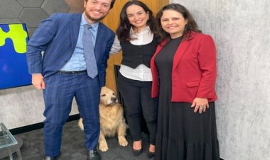 Cães na melhor idade. Sim, envelhecimento saudável é possível