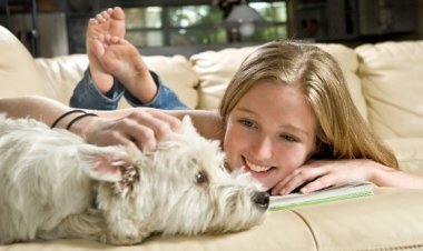 Os pets e o seu incrível poder de ajudar a saúde emocional e o bem-estar das pessoas