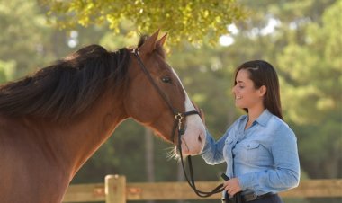 Mulheres que lideram com paixão e estratégia: a jornada de sucesso na Vetnil®