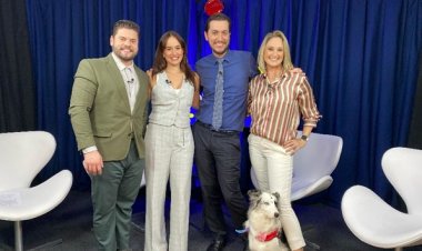 Cães são heróis na luta contra a epilepsia