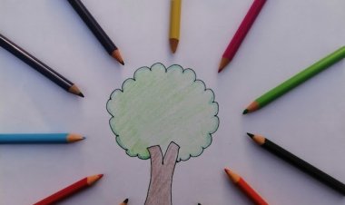 Educação e mudanças climáticas: escolas preparadas para formar cidadãos conscientes