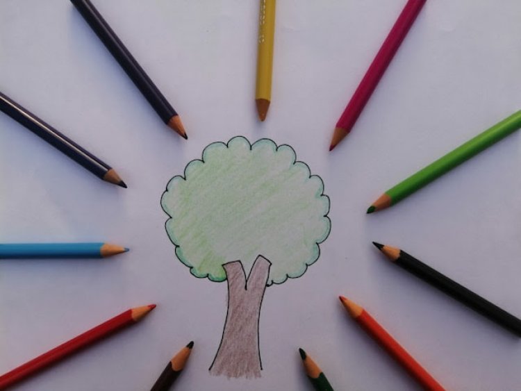 Educação e mudanças climáticas: escolas preparadas para formar cidadãos conscientes