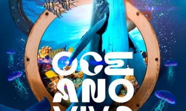 Inédita em Natal: Shopping Midway Mall recebe exposição imersiva “Oceano Vivo”