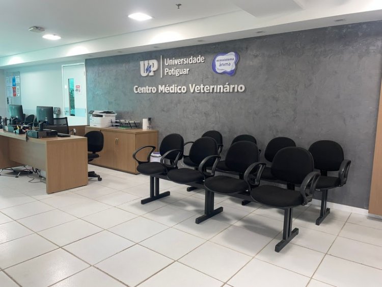 Centro Médico Veterinário da UnP retoma atendimentos em Mossoró