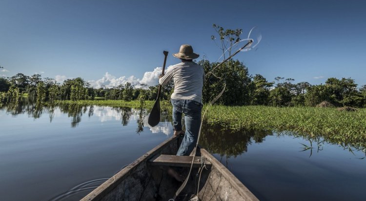 Pesca artesanal é peça-chave para a conservação da Amazônia